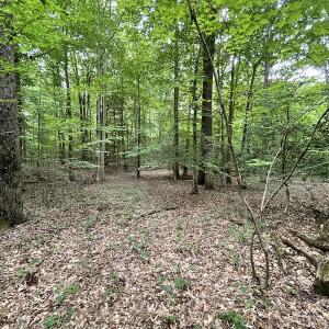 Photo #26 of SOLD property in Off Cabin Point Road, Spring Grove, VA 19.2 acres