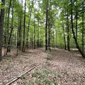 Photo #28 of SOLD property in Off Cabin Point Road, Spring Grove, VA 19.2 acres
