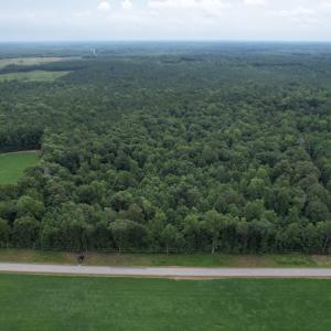 Photo #3 of SOLD property in Off Cabin Point Road, Spring Grove, VA 19.2 acres