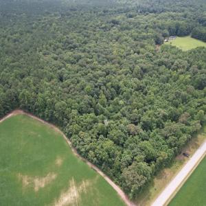 Photo #4 of SOLD property in Off Cabin Point Road, Spring Grove, VA 19.2 acres
