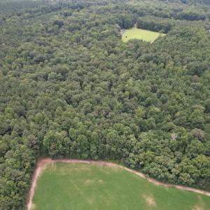 Photo #5 of SOLD property in Off Cabin Point Road, Spring Grove, VA 19.2 acres