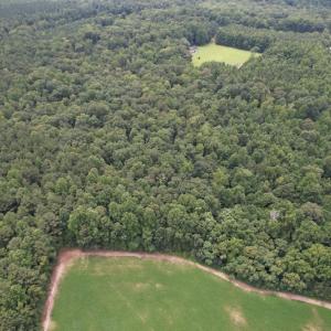 Photo #5 of SOLD property in Off Cabin Point Road, Spring Grove, VA 19.2 acres