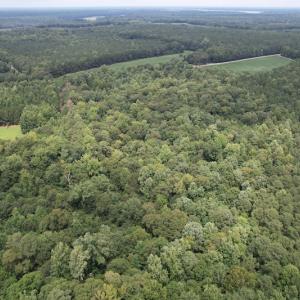 Photo #6 of SOLD property in Off Cabin Point Road, Spring Grove, VA 19.2 acres