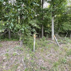 Photo #7 of SOLD property in Off Cabin Point Road, Spring Grove, VA 19.2 acres