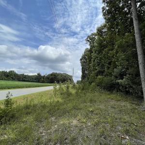 Photo #8 of SOLD property in Off Cabin Point Road, Spring Grove, VA 19.2 acres