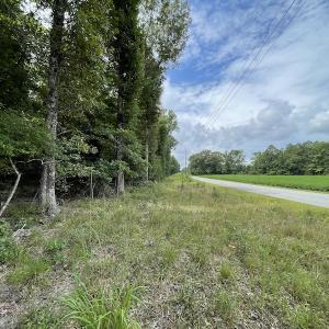 Photo #9 of SOLD property in Off Cabin Point Road, Spring Grove, VA 19.2 acres