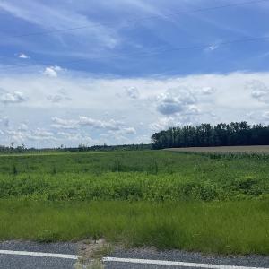 Photo #8 of SOLD property in Off Rev No Thompson Road, Fairmont, NC 20.2 acres