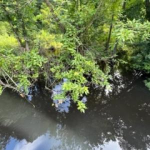 Photo #32 of SOLD property in Off Petersburg Road Route 613, Disputanta, VA 20.0 acres