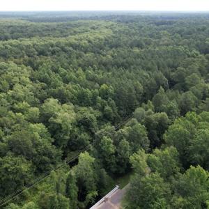 Photo #7 of SOLD property in Off Petersburg Road Route 613, Disputanta, VA 20.0 acres