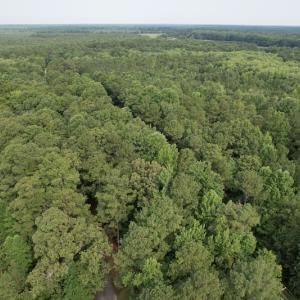 Photo #16 of SOLD property in Off Petersburg Road Route 613, Disputanta, VA 20.0 acres