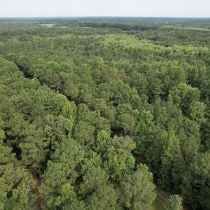 Photo #17 of SOLD property in Off Petersburg Road Route 613, Disputanta, VA 20.0 acres