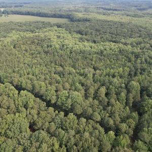 Photo #18 of SOLD property in Off Petersburg Road Route 613, Disputanta, VA 20.0 acres