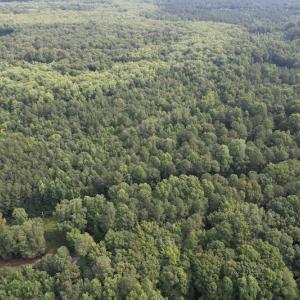 Photo #23 of SOLD property in Off Petersburg Road Route 613, Disputanta, VA 20.0 acres