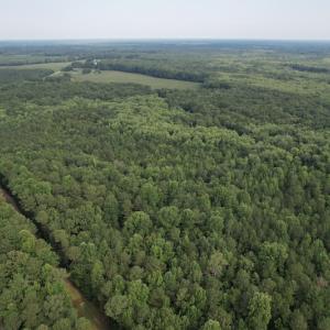 Photo #25 of SOLD property in Off Petersburg Road Route 613, Disputanta, VA 20.0 acres