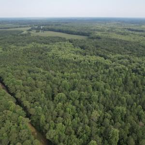 Photo #26 of SOLD property in Off Petersburg Road Route 613, Disputanta, VA 20.0 acres