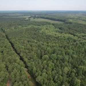 Photo #27 of SOLD property in Off Petersburg Road Route 613, Disputanta, VA 20.0 acres