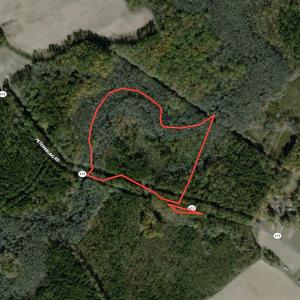 Photo #1 of SOLD property in Off Petersburg Road Route 613, Disputanta, VA 20.0 acres