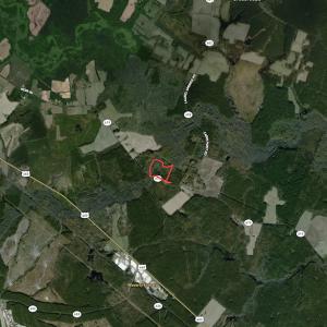 Photo #34 of SOLD property in Off Petersburg Road Route 613, Disputanta, VA 20.0 acres