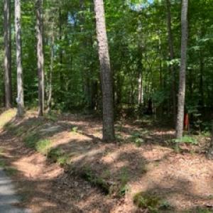 Photo #30 of SOLD property in Off Petersburg Road Route 613, Disputanta, VA 20.0 acres