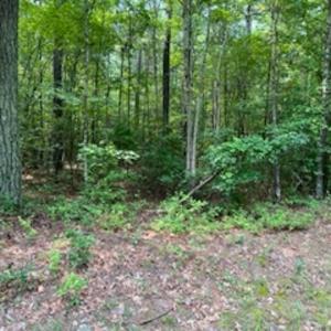 Photo #19 of SOLD property in Off Cabin Point Road Route 602, Disputanta, VA 196.8 acres