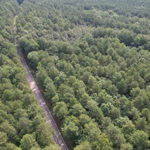 Photo #3 of SOLD property in Off Cabin Point Road Route 602, Disputanta, VA 196.8 acres