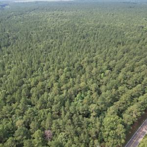 Photo #4 of SOLD property in Off Cabin Point Road Route 602, Disputanta, VA 196.8 acres