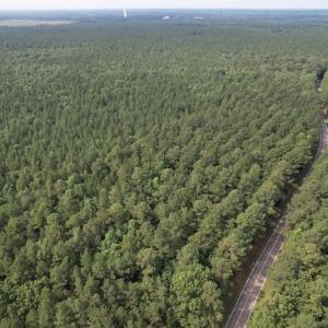Photo #5 of SOLD property in Off Cabin Point Road Route 602, Disputanta, VA 196.8 acres