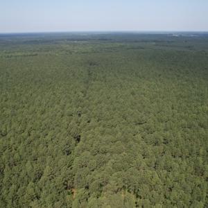 Photo #8 of SOLD property in Off Cabin Point Road Route 602, Disputanta, VA 196.8 acres
