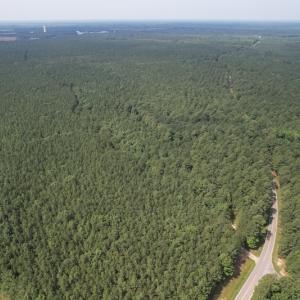 Photo #10 of SOLD property in Off Cabin Point Road Route 602, Disputanta, VA 196.8 acres
