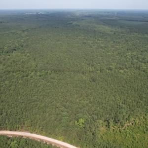 Photo #11 of SOLD property in Off Cabin Point Road Route 602, Disputanta, VA 196.8 acres