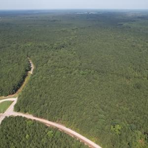 Photo #12 of SOLD property in Off Cabin Point Road Route 602, Disputanta, VA 196.8 acres
