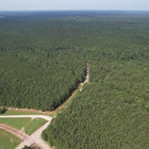 Photo #13 of SOLD property in Off Cabin Point Road Route 602, Disputanta, VA 196.8 acres