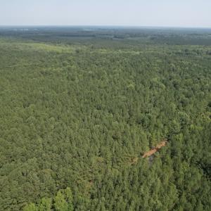 Photo #15 of SOLD property in Off Cabin Point Road Route 602, Disputanta, VA 196.8 acres