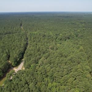 Photo #16 of SOLD property in Off Cabin Point Road Route 602, Disputanta, VA 196.8 acres