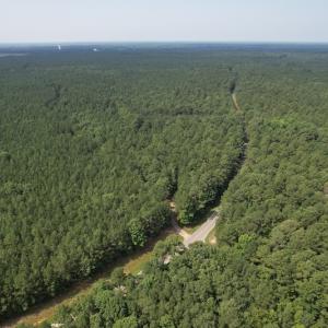 Photo #17 of SOLD property in Off Cabin Point Road Route 602, Disputanta, VA 196.8 acres