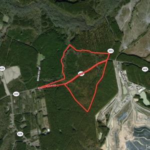 Photo #1 of SOLD property in Off Cabin Point Road Route 602, Disputanta, VA 196.8 acres