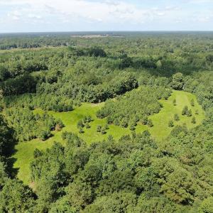Photo #3 of Off Roe & Sarah Drive, Elizabethtown, NC 69.3 acres