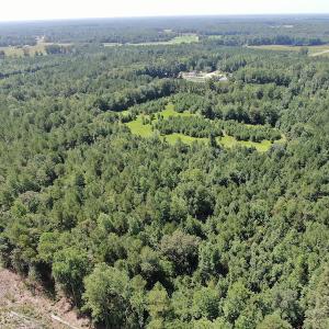 Photo #5 of Off Roe & Sarah Drive, Elizabethtown, NC 69.3 acres
