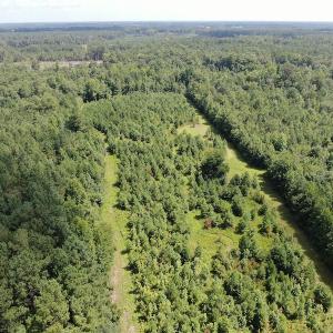 Photo #6 of Off Roe & Sarah Drive, Elizabethtown, NC 69.3 acres