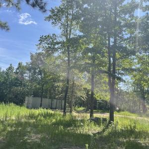 Photo #8 of Off Roe & Sarah Drive, Elizabethtown, NC 69.3 acres