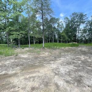 Photo #12 of Off Roe & Sarah Drive, Elizabethtown, NC 69.3 acres