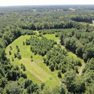 Photo #2 of Off Roe & Sarah Drive, Elizabethtown, NC 69.3 acres