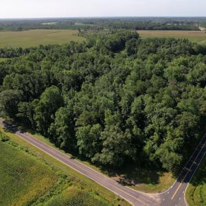 Photo #3 of SOLD property in 796 Page Road, Bladenboro, NC 12.0 acres