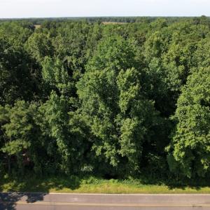 Photo #4 of SOLD property in 796 Page Road, Bladenboro, NC 12.0 acres