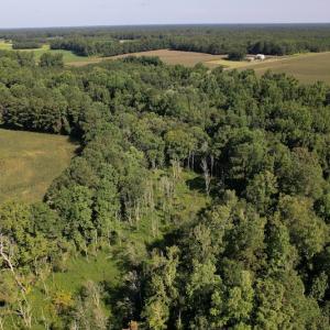 Photo #6 of SOLD property in 796 Page Road, Bladenboro, NC 12.0 acres