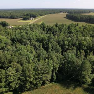 Photo #7 of SOLD property in 796 Page Road, Bladenboro, NC 12.0 acres