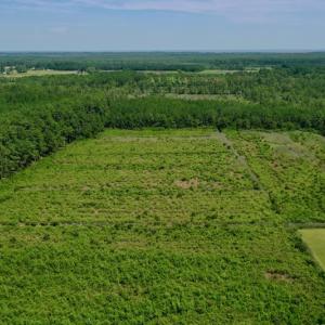 Photo #3 of SOLD property in Off Hwy 33, Hobucken, NC 28.6 acres