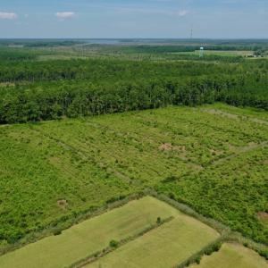 Photo #4 of SOLD property in Off Hwy 33, Hobucken, NC 28.6 acres