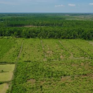 Photo #5 of SOLD property in Off Hwy 33, Hobucken, NC 28.6 acres