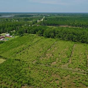 Photo #7 of SOLD property in Off Hwy 33, Hobucken, NC 28.6 acres